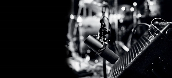 Vocal microphone Shure SM7B - img.10