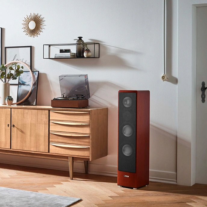 Floorstanding Speakers Canton Ergo 690 DC Cherry (1pc) - img.5