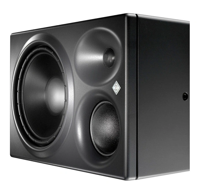 Studio monitor Neumann KH 310 A R G - img.8