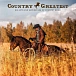 Vinyl Record Various - Country Greatest - Big Hits And Superstars Of Country Music LP - img.0