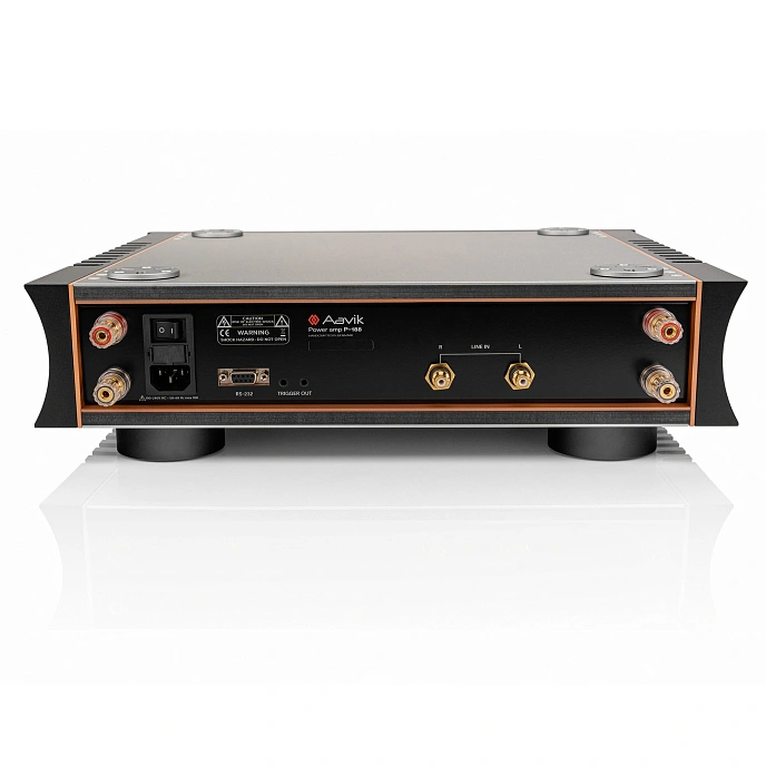 Power Amp Aavik P-188 Black Silver - img.2