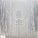 Vinyl Record AFI - Decemberunderground (Transparent Smoke) LP - img.7