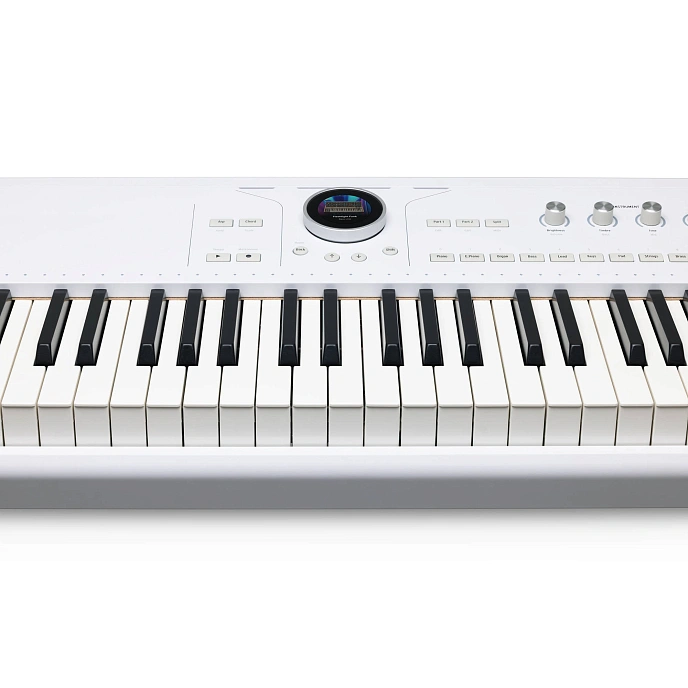 Synthesizer Arturia AstroLab 88 White - img.8
