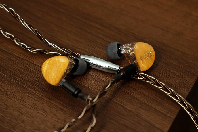IEMs headphones Aurian Canyon Universal - img.10