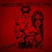 Vinyl Record Motley Crue - Greatest Hits 2LP - img.0