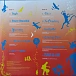 Vinyl Record James Blunt - Back To Bedlam: The Demos (Red) LP - img.4