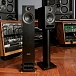 Bookshelf speakers PMC Prodigy 1 silk black (pair) - img.10