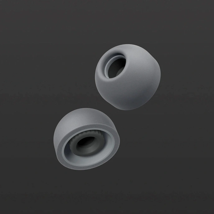 Eartips Final Audio Fusion-G size M 4pcs Gray - img.3