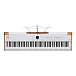 Synthesizer Arturia AstroLab 88 White - img.2