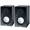 Magnat Multi Monitor 220 Black
