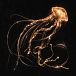 Vinyl Record Royal Blood – Back To The Water Below (Limited Edition, Clear) LP - img.0