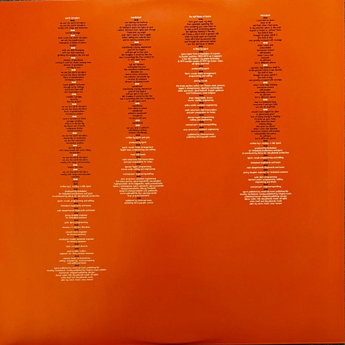 Vinyl Record Bjork - Volta - 2LP - img.3