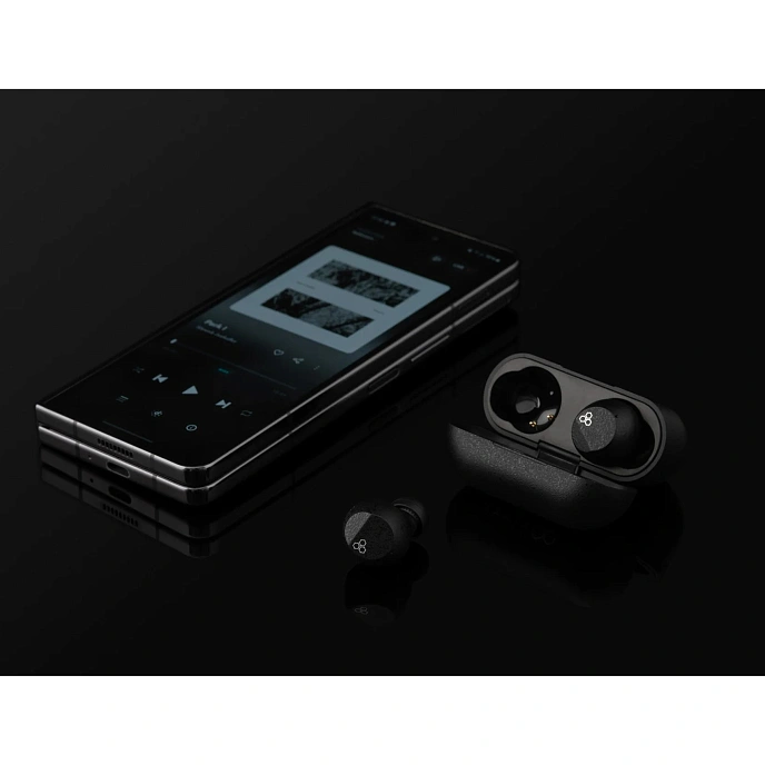 Wireless Headphones Final Audio ZE3000 SV Black - img.7