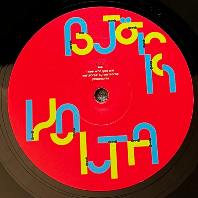 Vinyl Record Bjork - Volta - 2LP - img.8