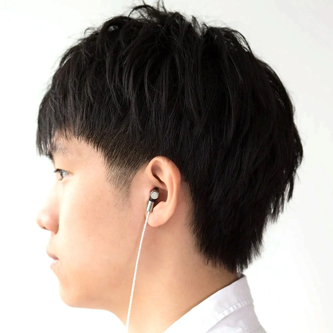 In-ear headphones Final Audio E5000 Stainless Steel - img.4
