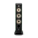 Floorstanding Speakers Focal Aria Evo X N2 Green Moss - img.4