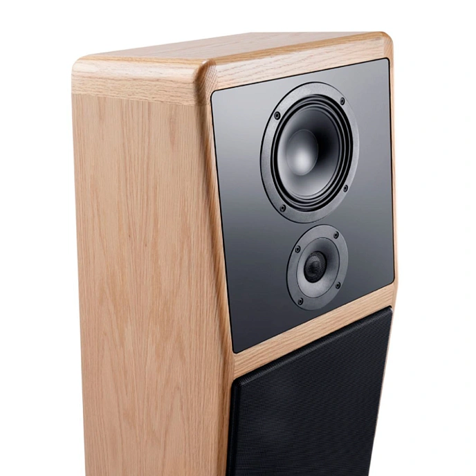 Floorstanding Speakers Canton Ergo GS Oak (1pc) - img.5