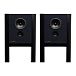 Floorstanding Speakers Grimm Audio LS1a Lacquer RAL - img.1