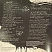 Vinyl Record Iggy Pop – Every Loser (Red) LP - img.7