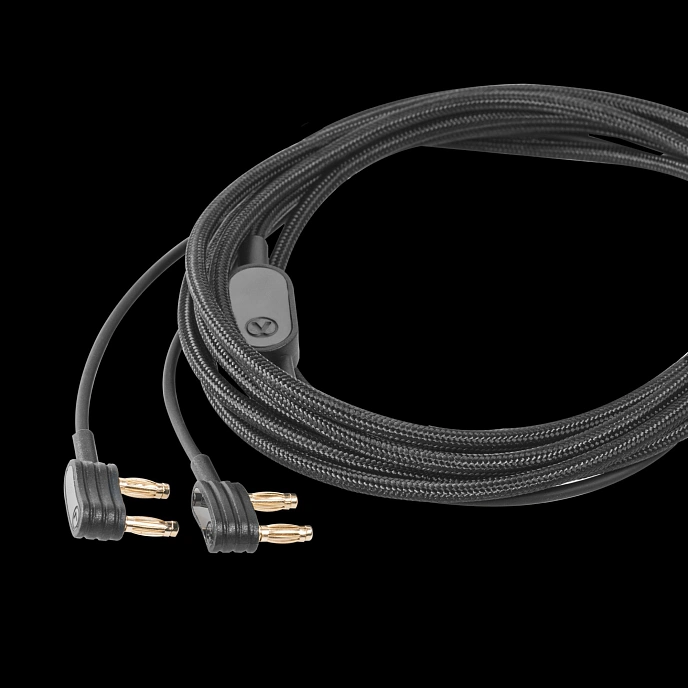 Over-ear headphones Austrian Audio The Composer Black - img.6