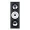 Amphion Two18X Black