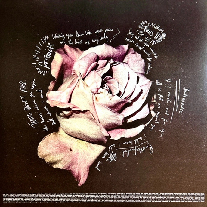 Vinyl Record Birdy - Portraits (Violet Translucent Vinyl) LP - img.5