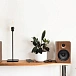 Bookshelf speakers Kanto YU6 Walnut - img.8 Bookshelf speakers Kanto YU6 Walnut - img.8