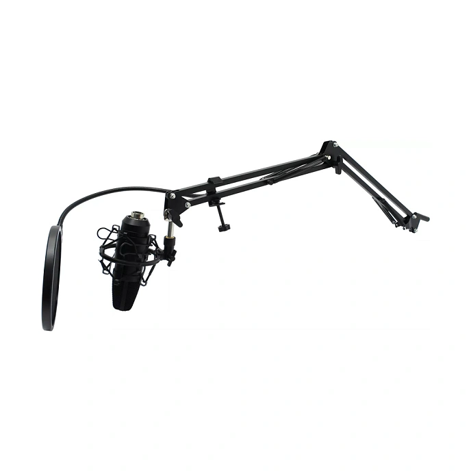Microphone for streaming and gaming Maono AU-A04 - img.0