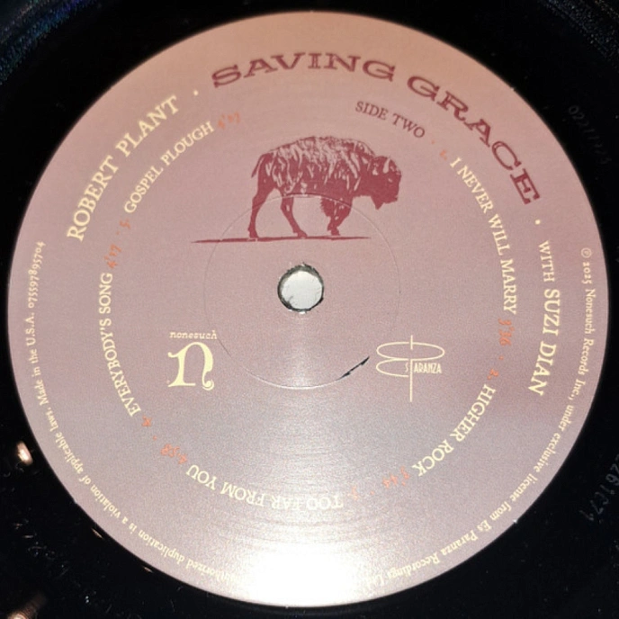 Vinyl Record Robert Plant With Suzi Dian - Saving Grace LP - img.6