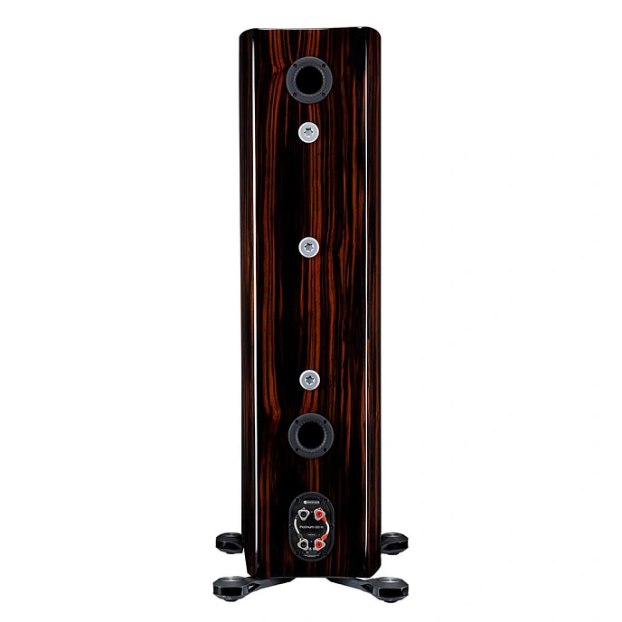 Floorstanding Speakers Monitor Audio Platinum 300 3G Piano Ebony - img.2