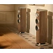 Floorstanding Speakers Bowers & Wilkins 804 D5 Light Walnut - img.5