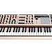 - img.4 Synthesizer Arturia PolyBrute 12 Cream - img.4