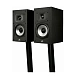 Bookshelf speakers Polk Audio Monitor XT20 Black - img.2