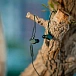 In-ear headphones Final Audio VR2000 with Controller & Mic Dark Olive - img.2
