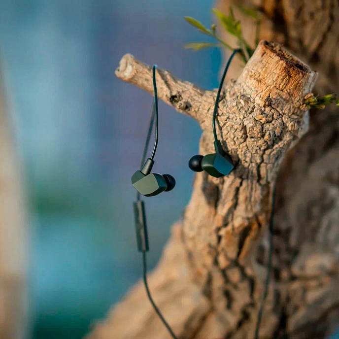 In-ear headphones Final Audio VR2000 with Controller & Mic Dark Olive - img.2