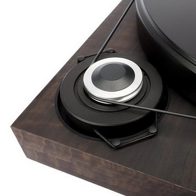 Turntable Pro-Ject 2Xperience SB 2M Silver Eucalyptus - img.3