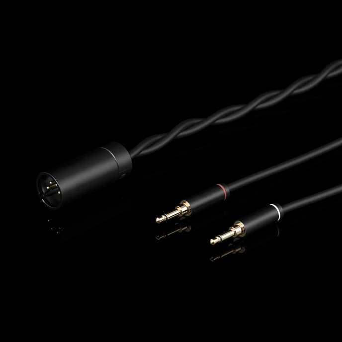Over-ear headphones Final Audio DX6000 Black Silver - img.9
