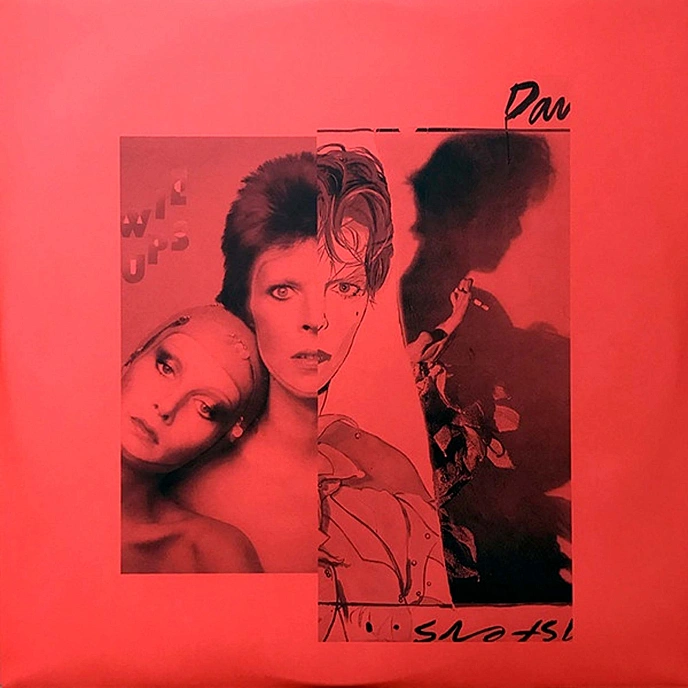 Vinyl Record David Bowie - Legacy LP - img.6