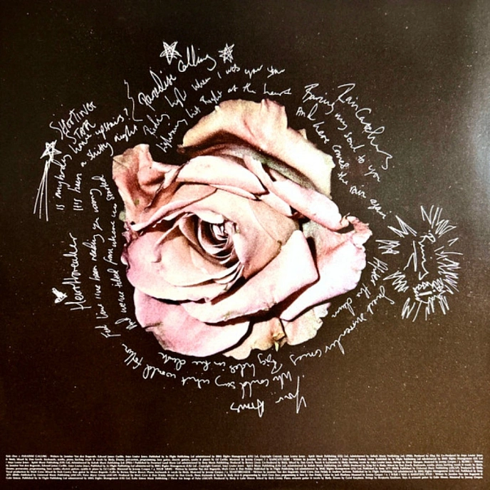 Vinyl Record Birdy - Portraits (Violet Translucent Vinyl) LP - img.6