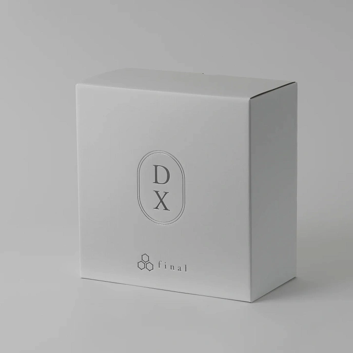 Over-ear headphones Final Audio DX3000CL Black - img.9