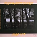 Vinyl Record Mitski - The Land Is Inhospitable And So Are We LP - img.3