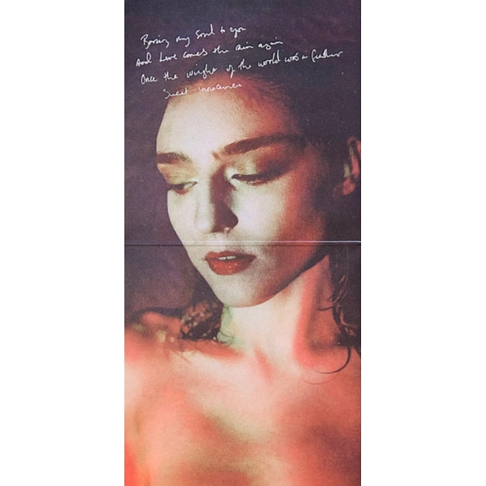 Vinyl Record Birdy - Portraits (Violet Translucent Vinyl) LP - img.10