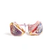 In-ear headphones Kinera Freya Pink Crowned - img.3
