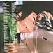 Vinyl Record Mitski - Be The Cowboy LP - img.8