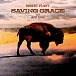 Vinyl Record Robert Plant With Suzi Dian - Saving Grace LP - img.0