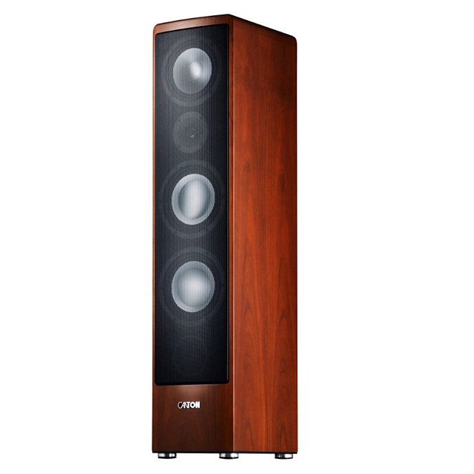 Floorstanding Speakers Canton Ergo 690 DC Cherry (1pc) - img.0