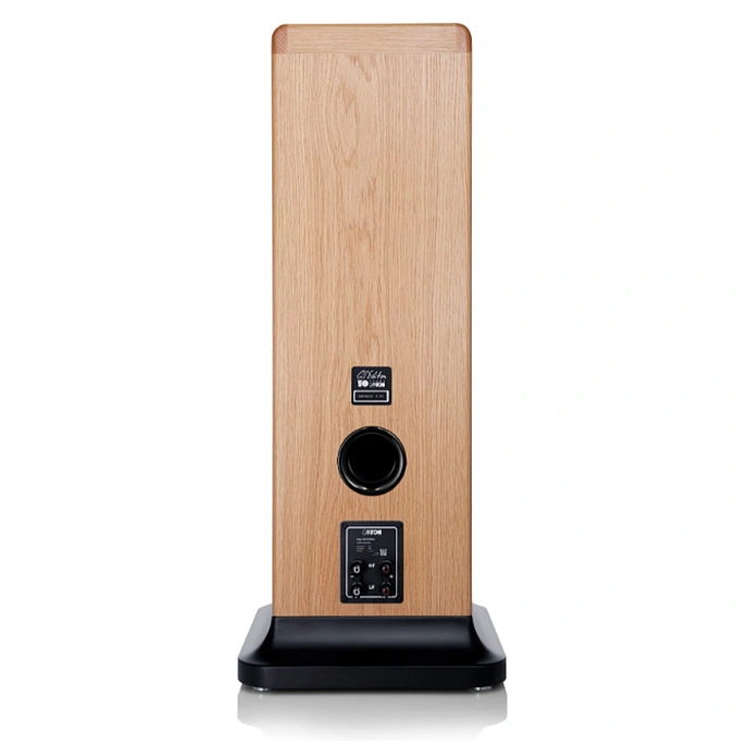 Floorstanding Speakers Canton Ergo GS Oak (1pc) - img.4