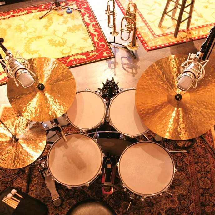 Microphone Shure KSM44A/SL Black - img.4