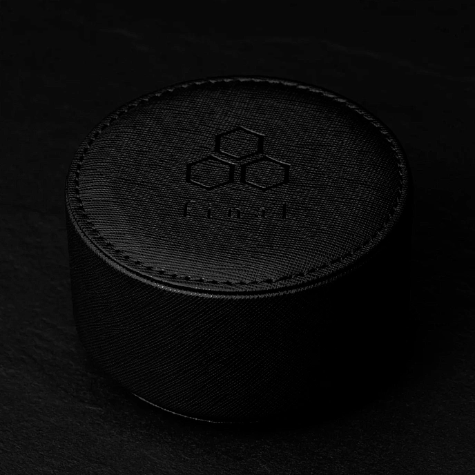 High End headphones Final Audio A10000 Silver - img.7