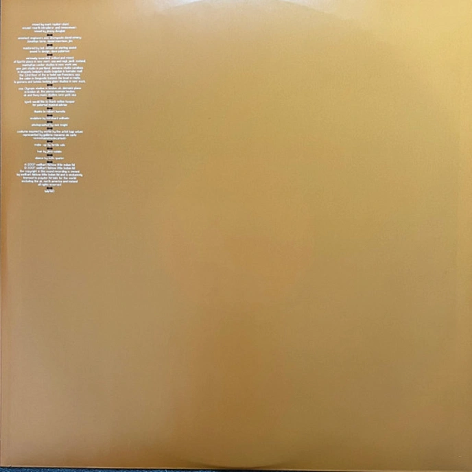 Vinyl Record Bjork - Volta - 2LP - img.1